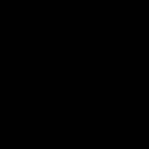 Meet your Posher, Rajpreet